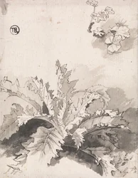 Studie einer Distel und anderer Pflanzen, 8. September